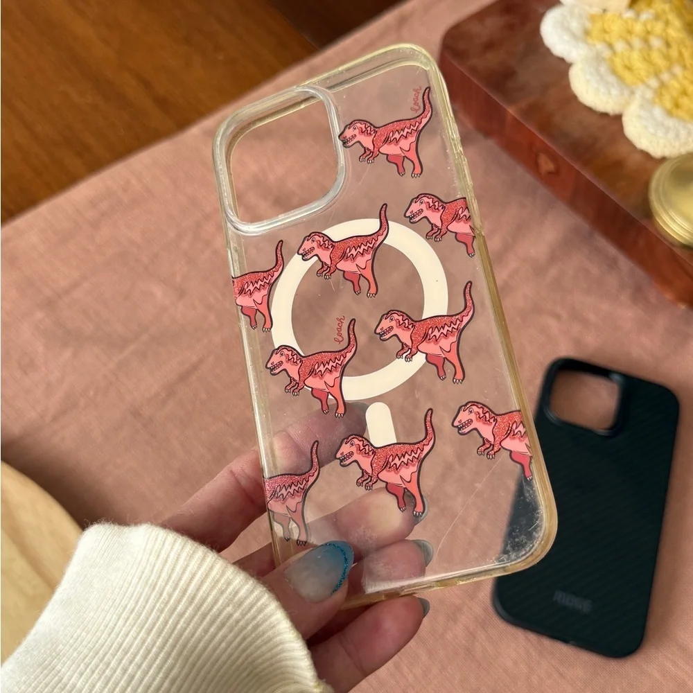 iPhone 16 pro max case bundle